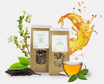 Tisanes infusions naturelles de qualité : Phytoproduction